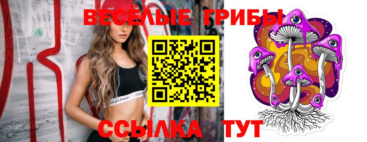 Галлюциногенные грибы Psilocybe Новороссийск
